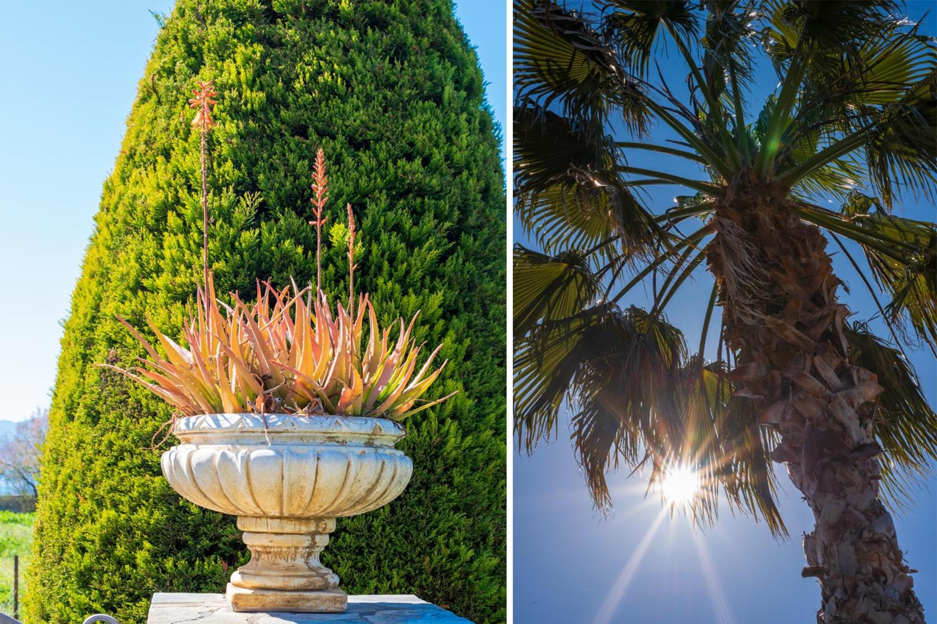 Christina'S Twin Palm Trees House Apartment Агрия Екстериор снимка